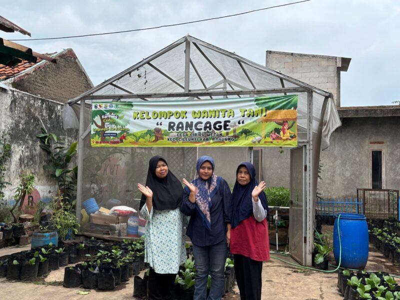 Anggota KWT Rancage Bu Cacih, Bu Emin, dan Bu Imas
