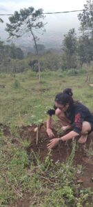 Penanaman Pohon