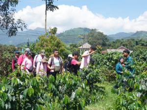 Wisatawan melakukan Kopi Trip di Desa Wiaata Mekarlaksana 